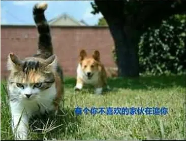 4.webp