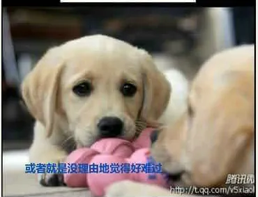 6.webp