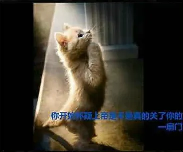 7.webp