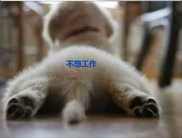 10.webp