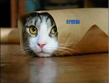 16.webp