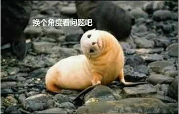 18.webp