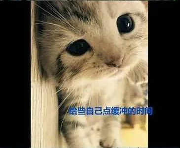 19.webp