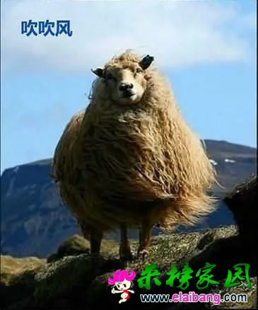 20.webp