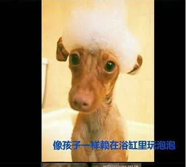 23.webp