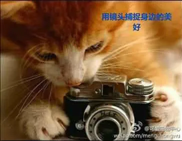 28.webp