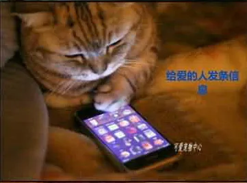 27.webp
