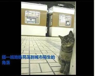 31.webp