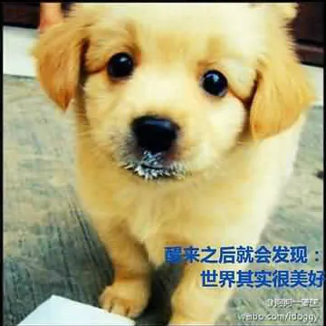 32.webp