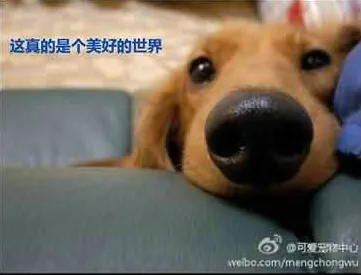 35.webp