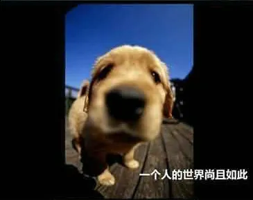 36.webp