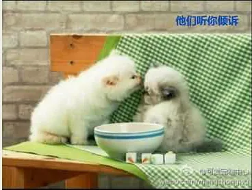 39.webp