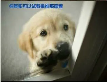 47.webp