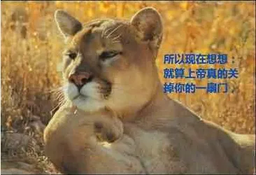 46.webp