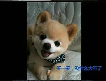 48.webp
