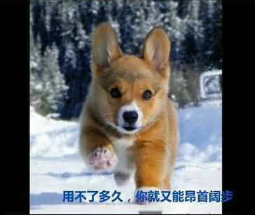 49.webp