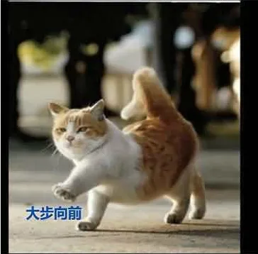 50.webp