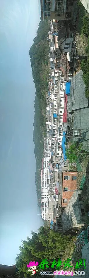 222624vydq58ld9p99j7lq.webp