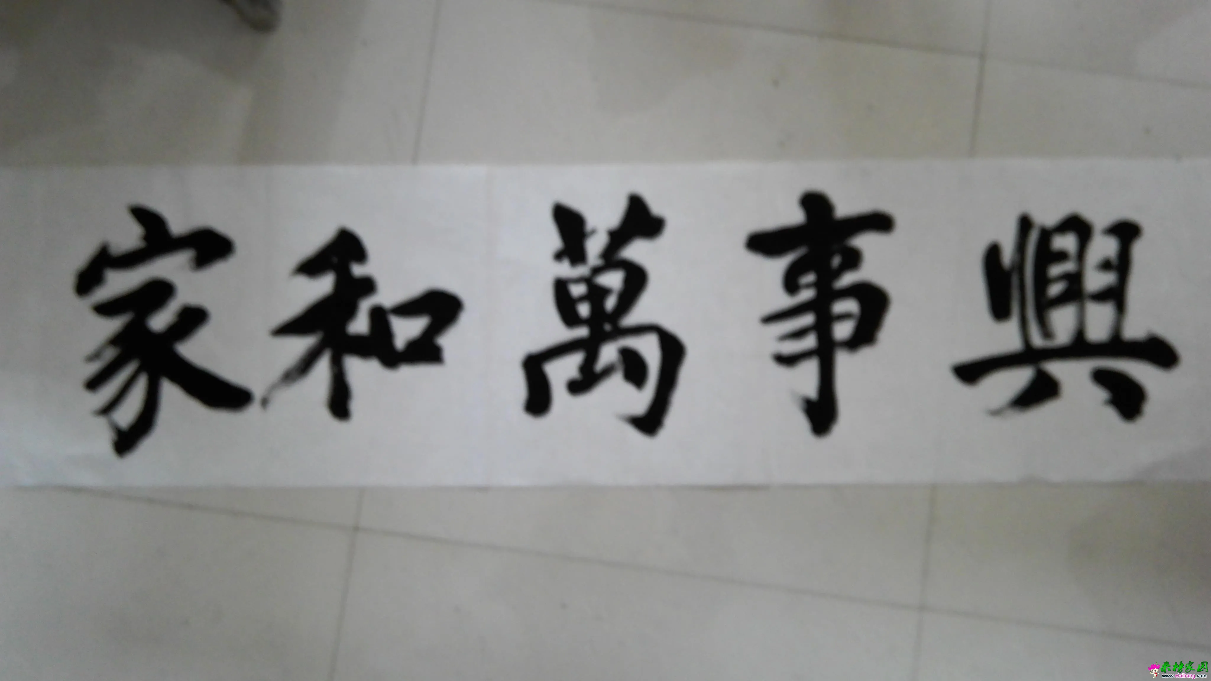 IMG_20160416_113839.webp
