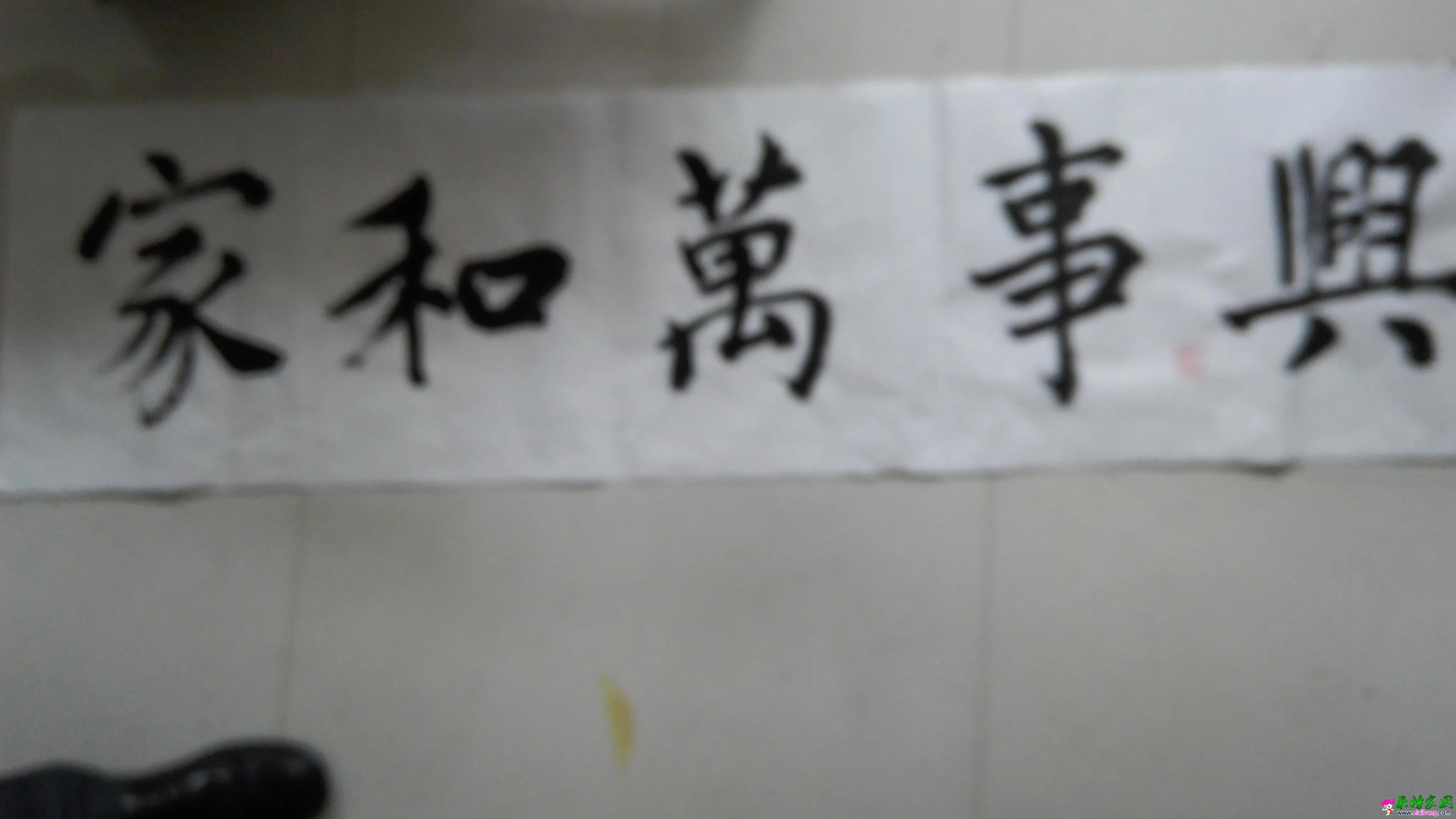 IMG_20160416_114041.webp