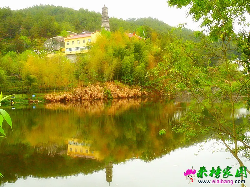 CIMG0258_副本.webp