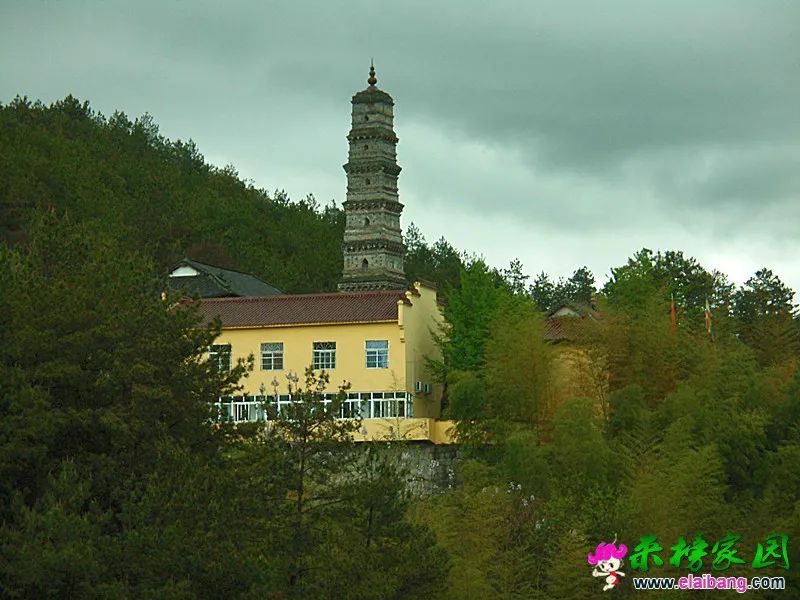 CIMG0268_副本.webp