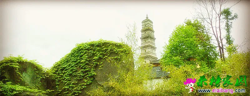 CIMG0282_副本.webp