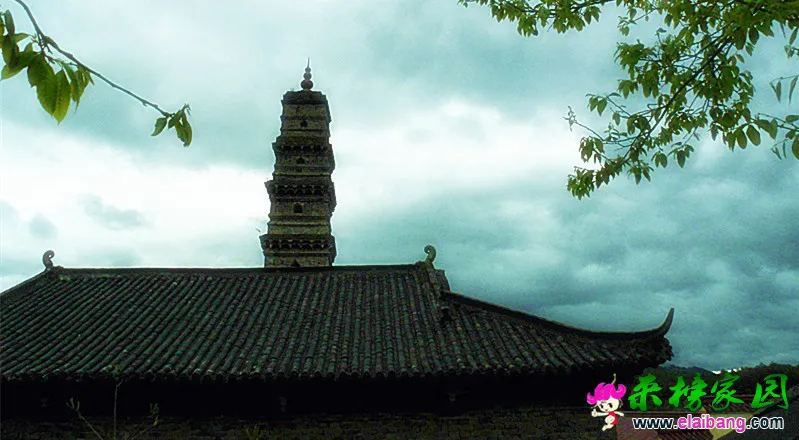 CIMG0292_副本.webp