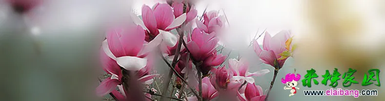 CIMG0177_副本.webp
