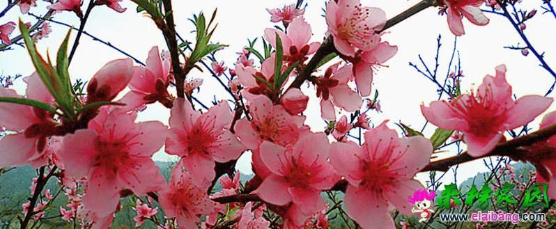 CIMG0179_副本.webp