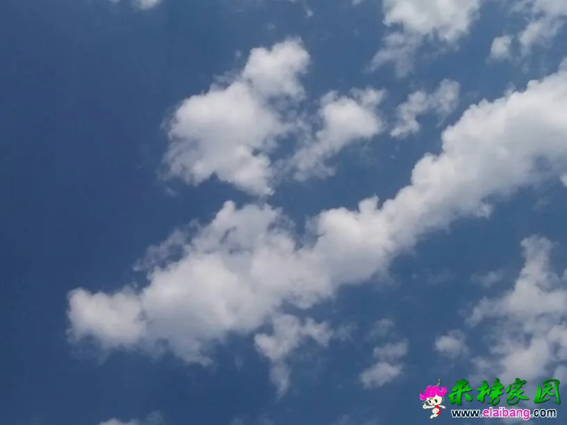 153142vetfqjtnrrojtcqv.webp