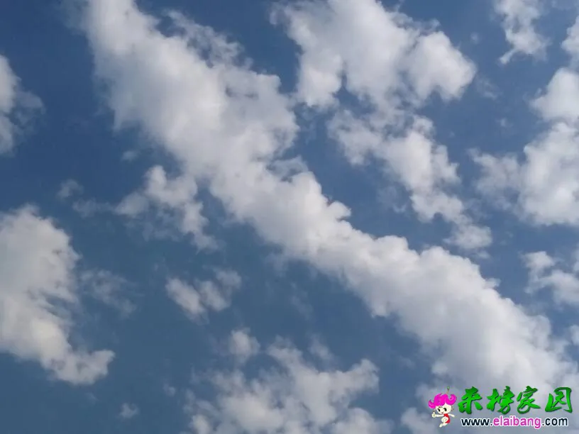 153143nmim9nld9c426ni9.webp