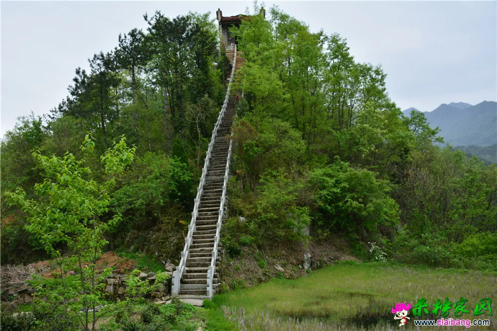 DSC_1879.webp