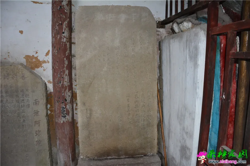DSC_1888.webp