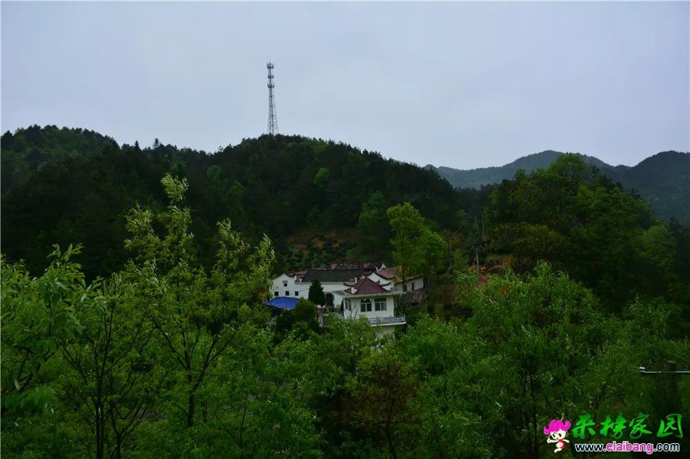 DSC_1972.webp