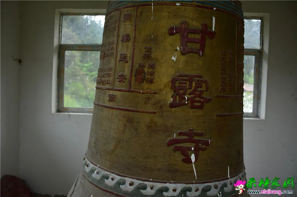 DSC_1965(1).webp