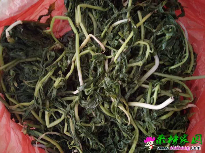 132309u1xz0vmgg0kugm11.webp