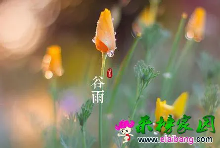 u=2171259657,2606369658&amp;fm=11&amp;gp=0.webp