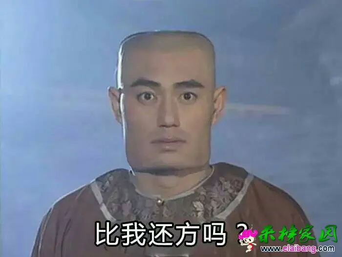 000637x4lnn9n525dzu446.webp