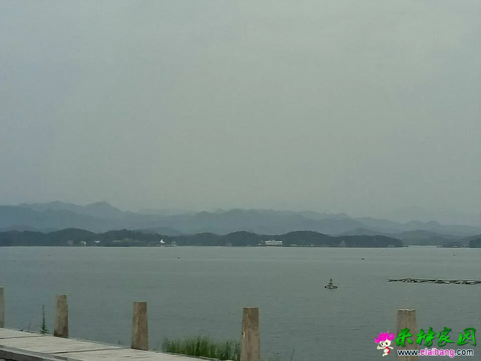 112429hlyenw08yts5vtvw.webp