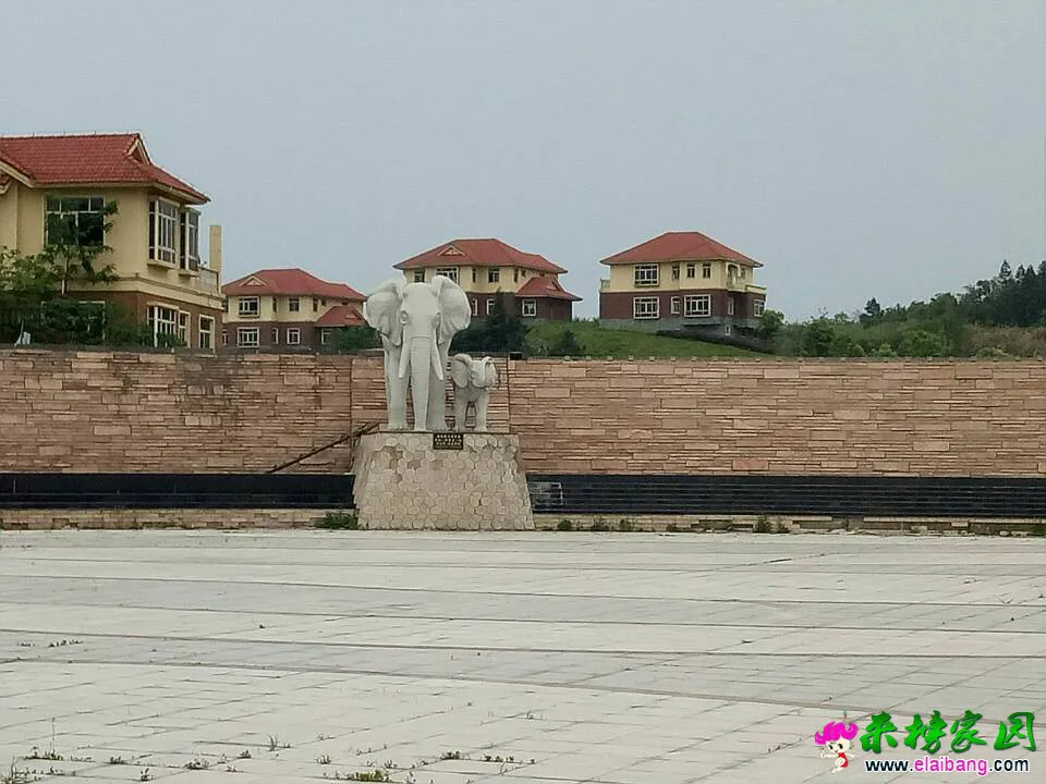 112429ubgz17gdxcrr7gcr.webp