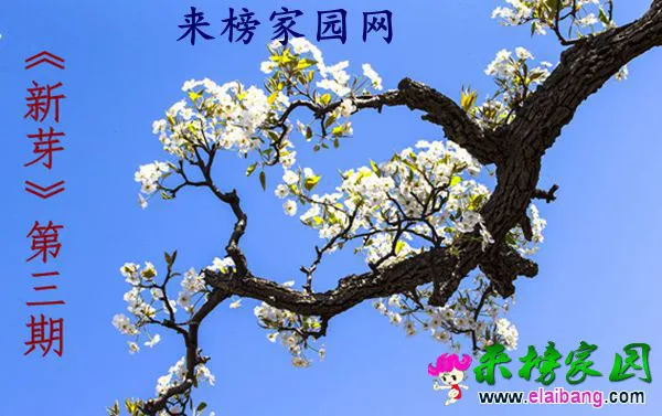 Cg-4WVUQJOSIF12aAA3AWnMdfIoAAAGngOAAecADcBy055 (1).webp