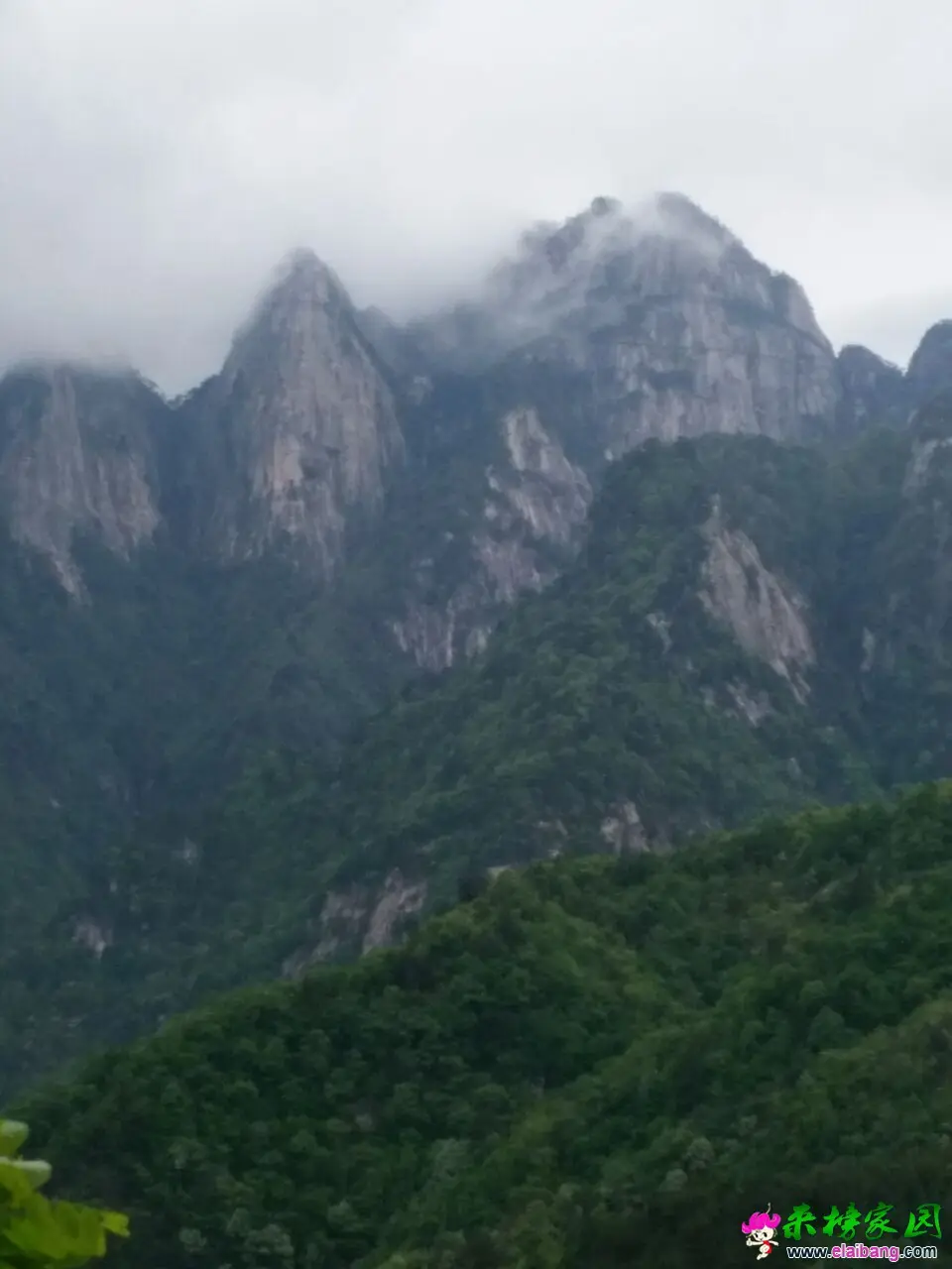 QQ图片200201011025232.webp