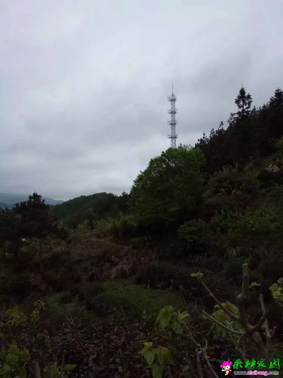 来榜家园_20160424_122644.webp