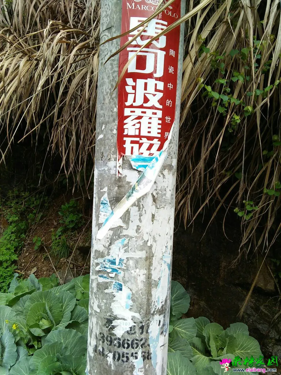 071458eosc7tssavavz999.webp