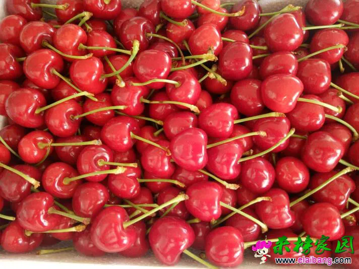 095200gntqlyqxbl6jwzbw.webp