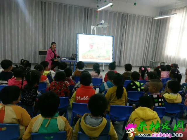183405a1v5lxlw6959olxz.webp