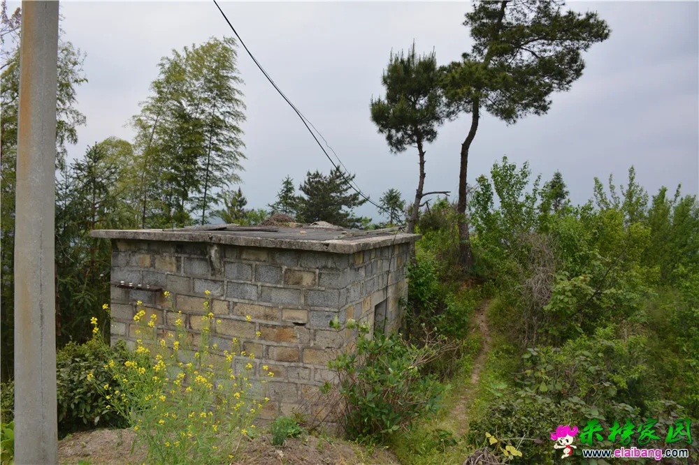 DSC_2144.webp