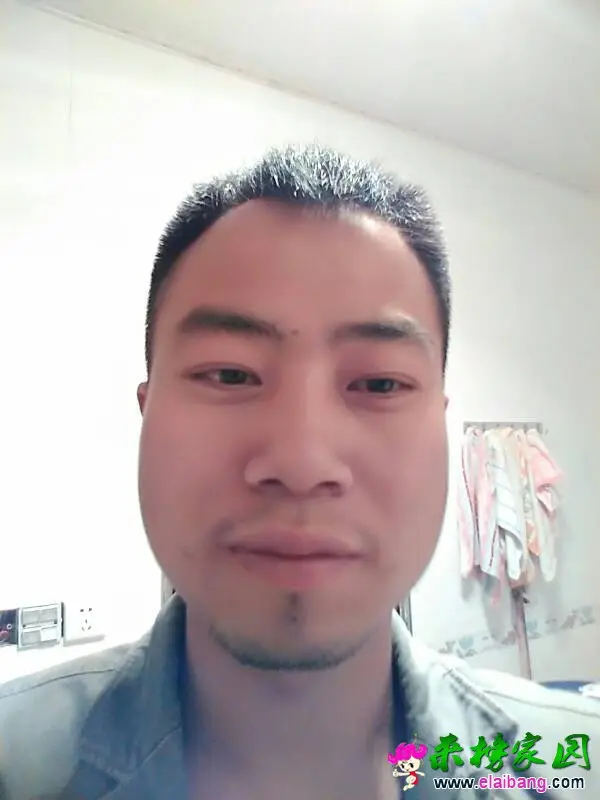 205311pjsy6rmrys2jngoo.webp