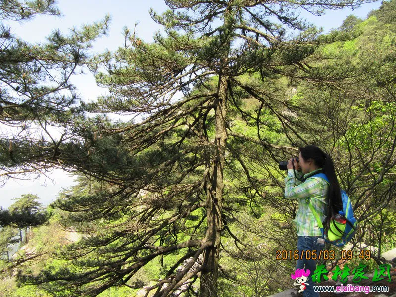 IMG_0079_调整大小.webp
